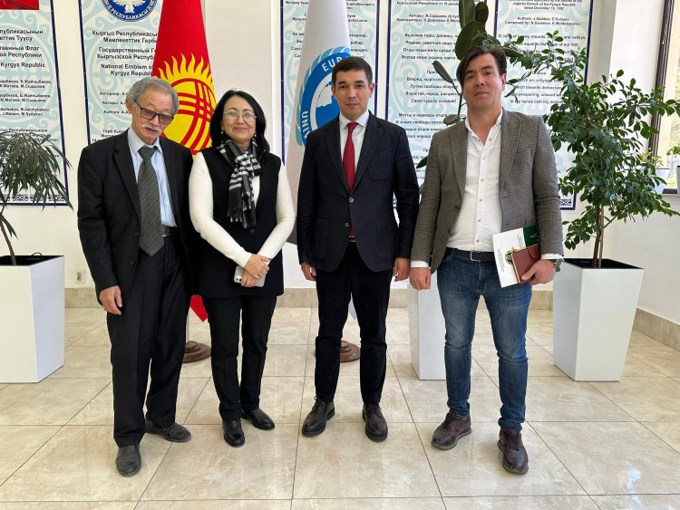 Медицинское страхование иностранных студентов