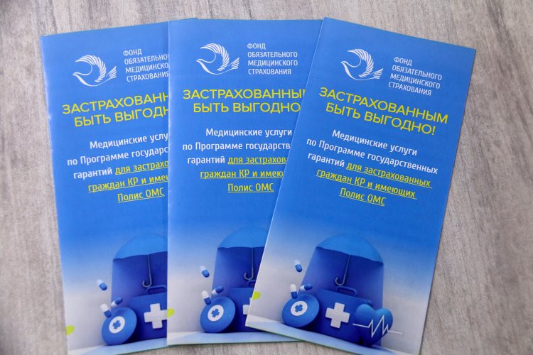 Встреча лидеров групп с ФОМС   