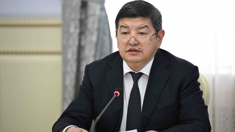 Meeting on the activities of medical universities in the Administration of the President of the Kyrgyz Republic