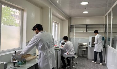 Морфологический корпус