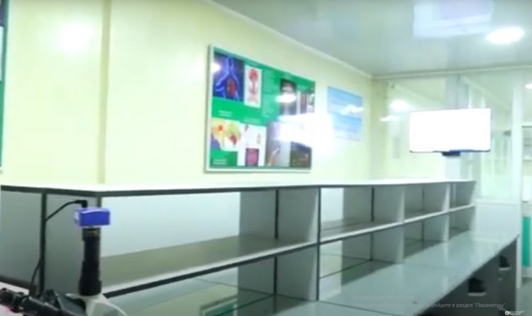 Морфологиялык корпус