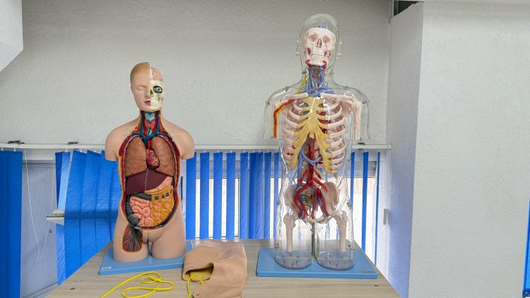 Фантомно-тренировочный центр