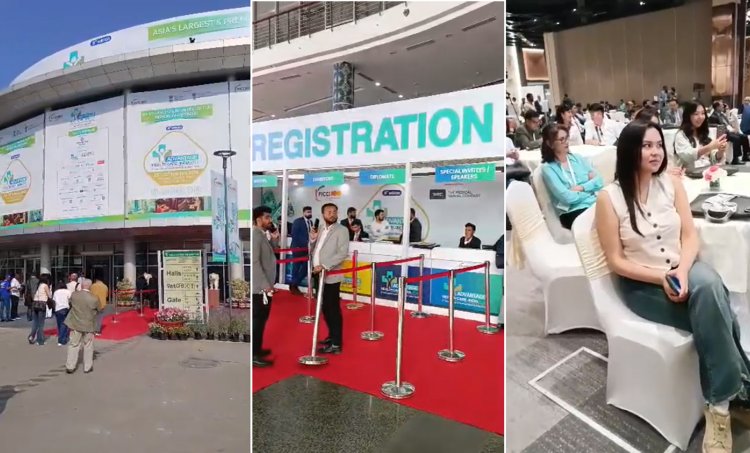 Международный саммит по здравоохранению в Индии: участие и новые партнерства ЕМУ