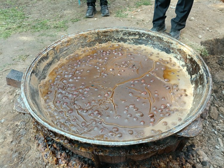 В ЕМУ сварили сумолок